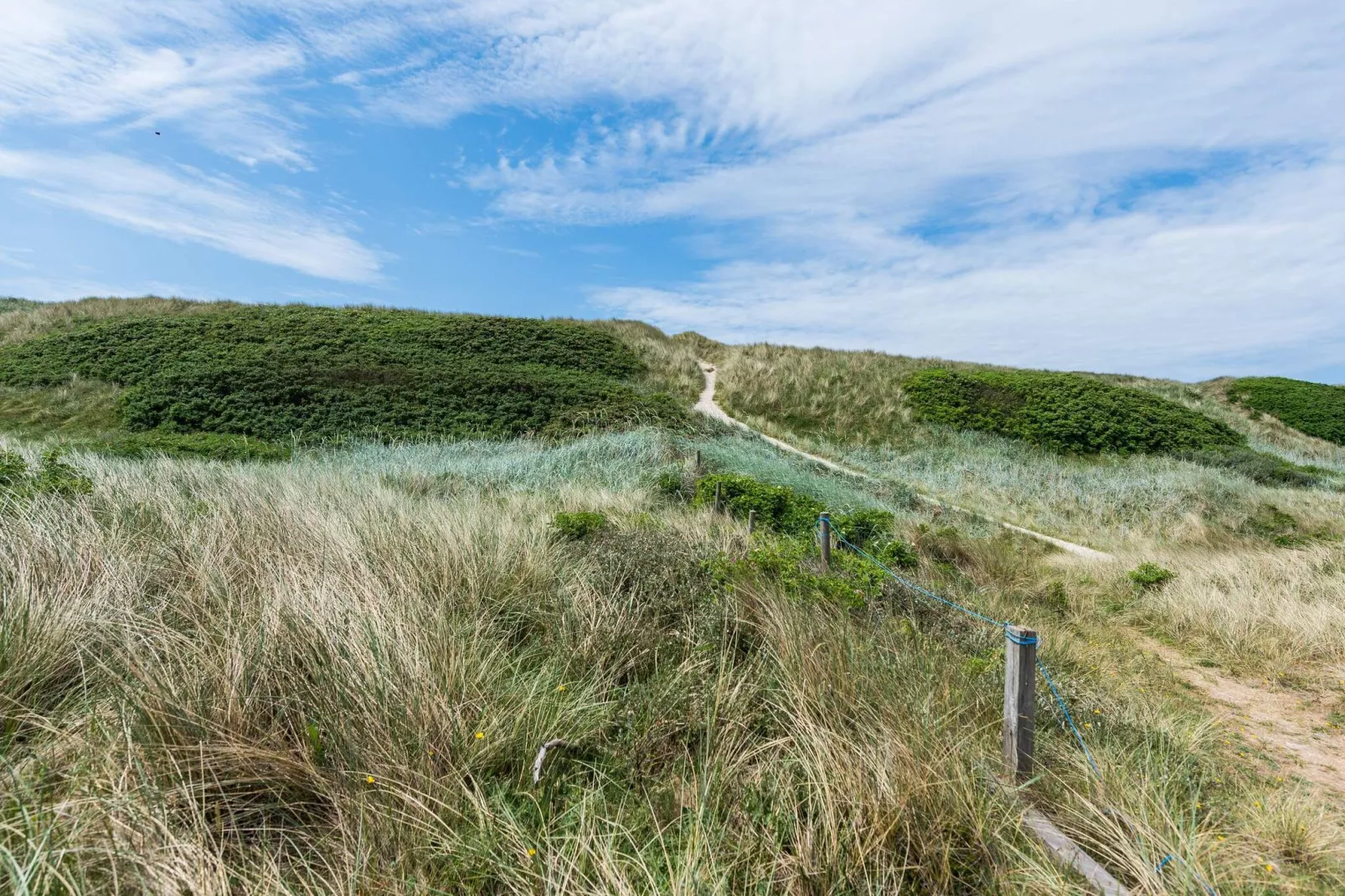 10 persoons vakantie huis in Hvide Sande-Binnen