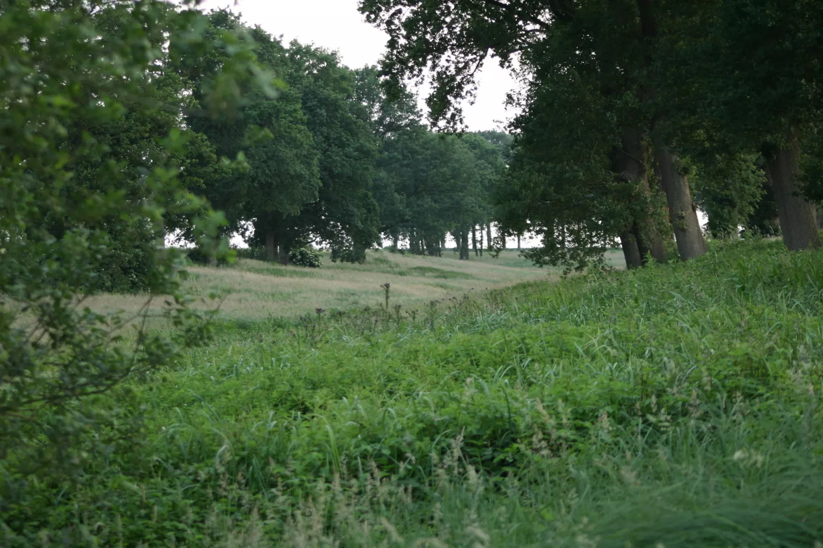 Chaletpark Kuiperberg 1-Gebieden zomer 5km