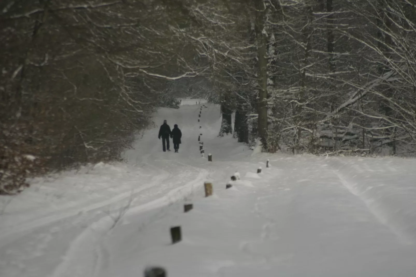 Chaletpark Kuiperberg 1-Gebied winter 5km