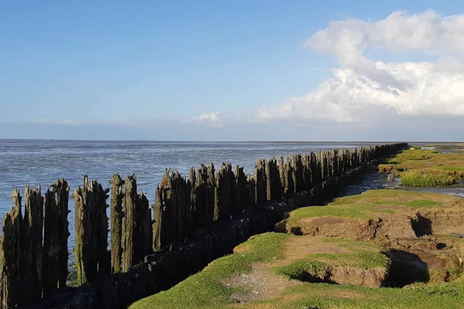 Wadden Festijn-Gebieden zomer 1km