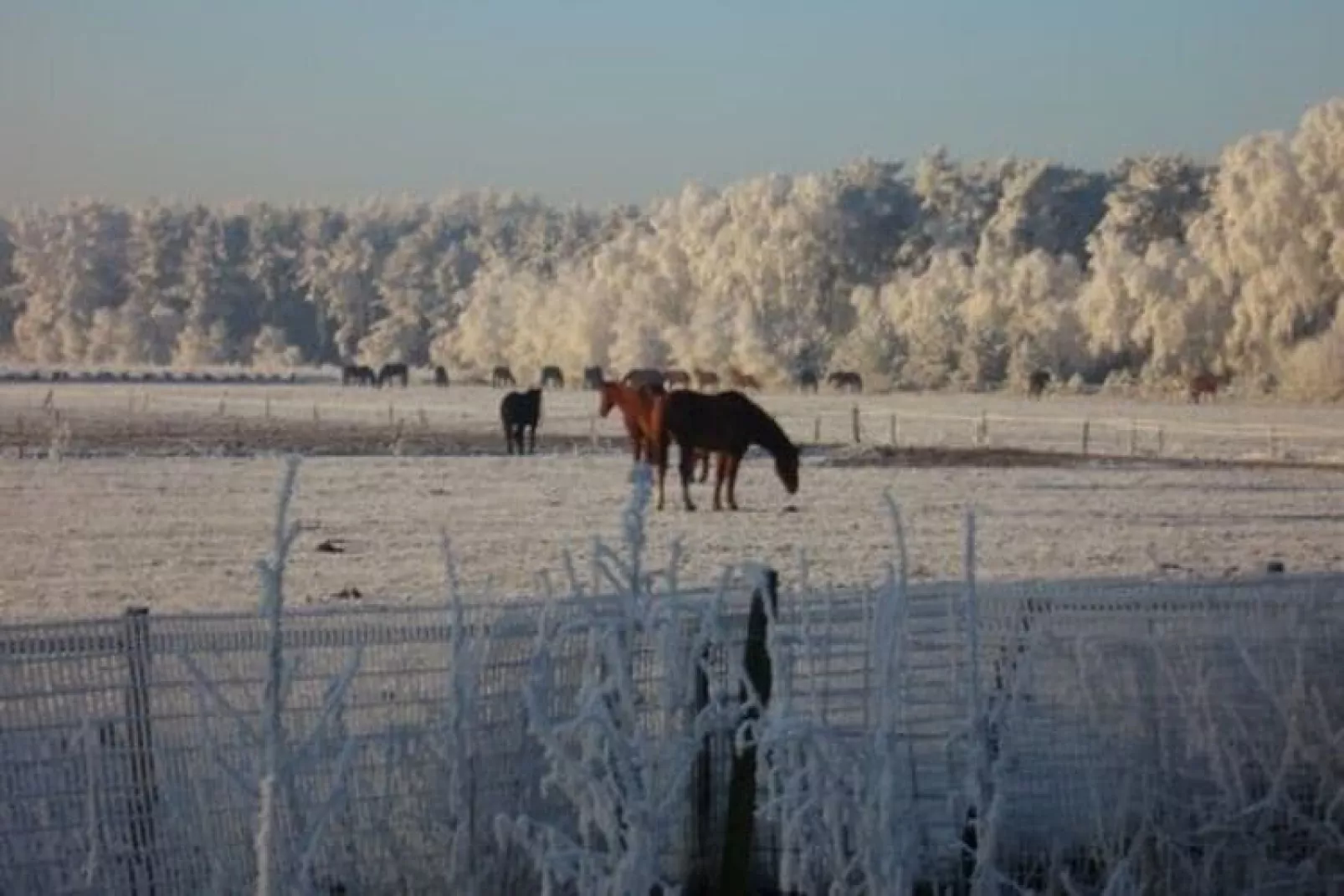 Dorpswoning De Plek-Uitzicht winter