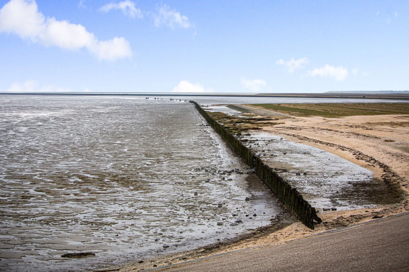 Wadden Festijn-Gebieden zomer 20km