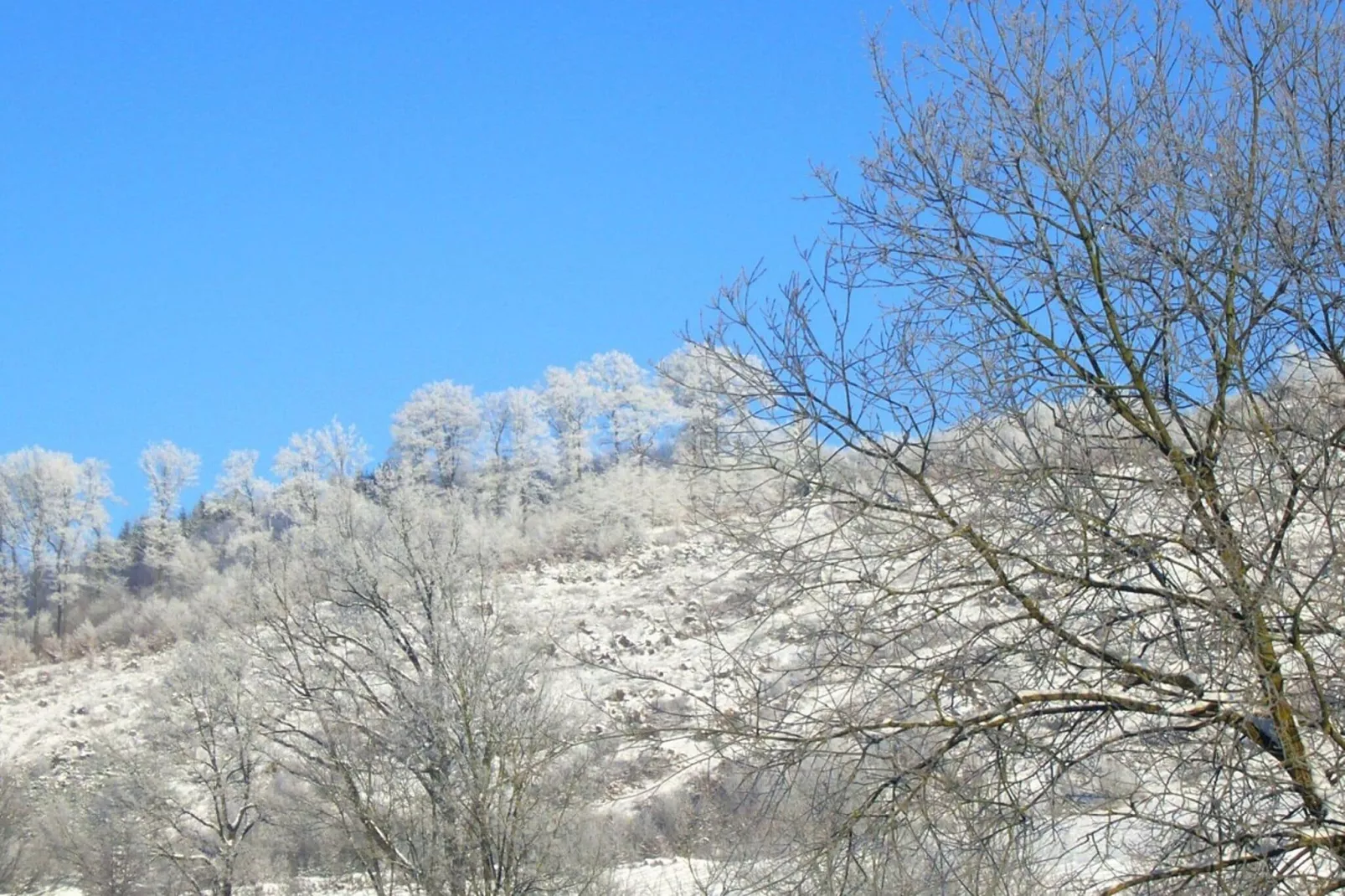 Hunau II-Gebied winter 20km