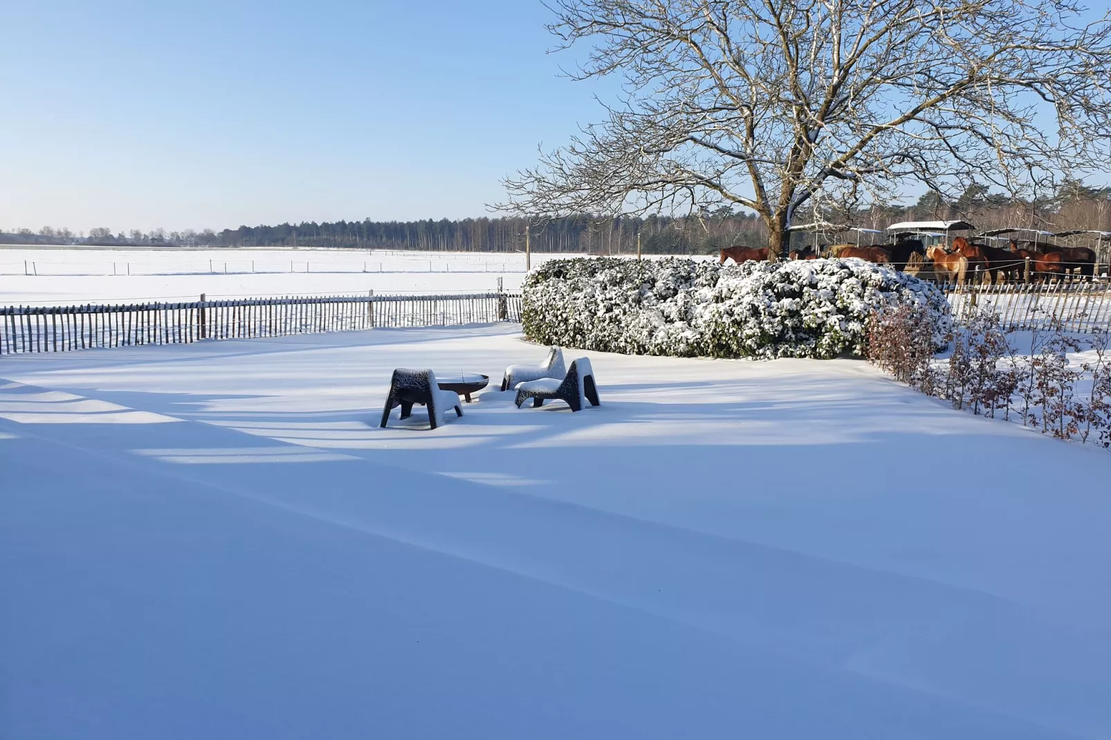 Dorpswoning De Plek-Uitzicht winter