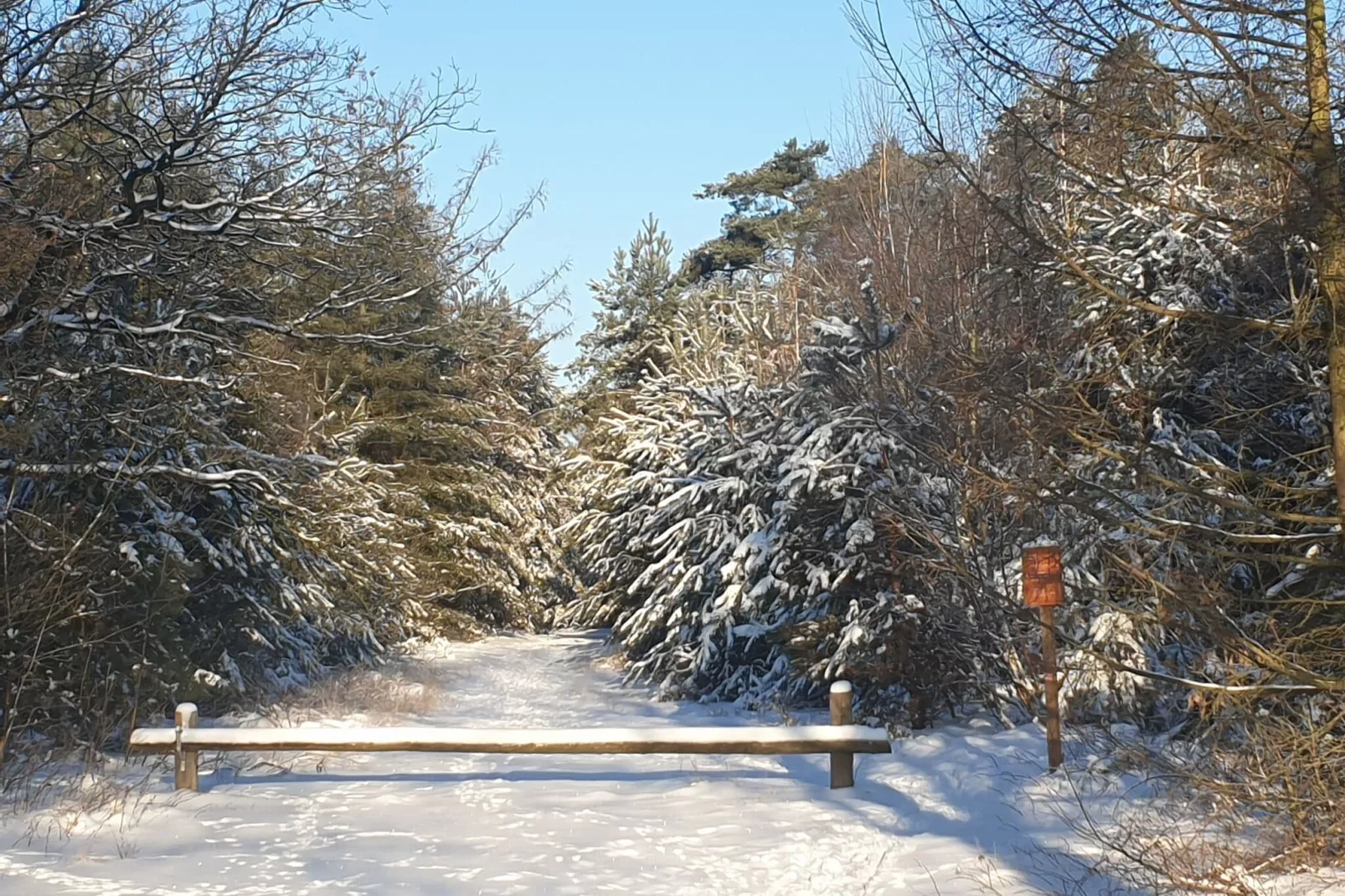 Dorpswoning De Plek-Uitzicht winter