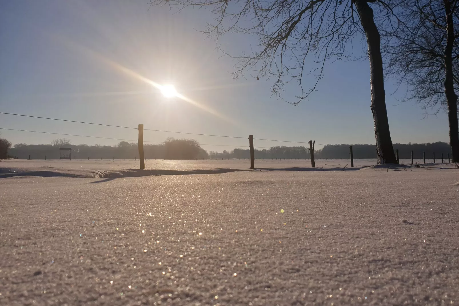 Dorpswoning De Plek-Uitzicht winter