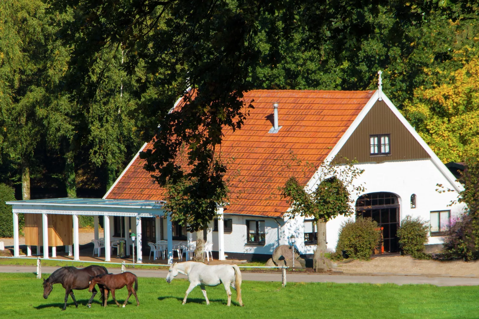 Chaletpark Kuiperberg 4-Buitenkant zomer