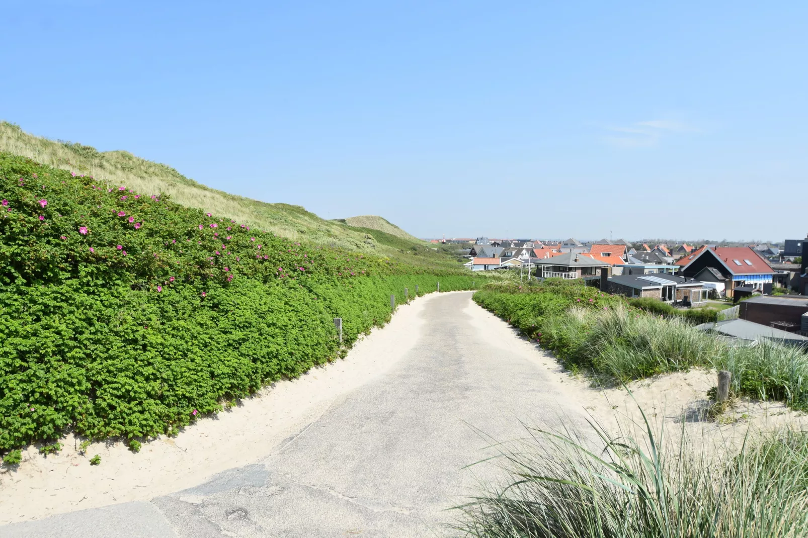 Hazenborgh - Duinhuis 1-Gebieden zomer 5km