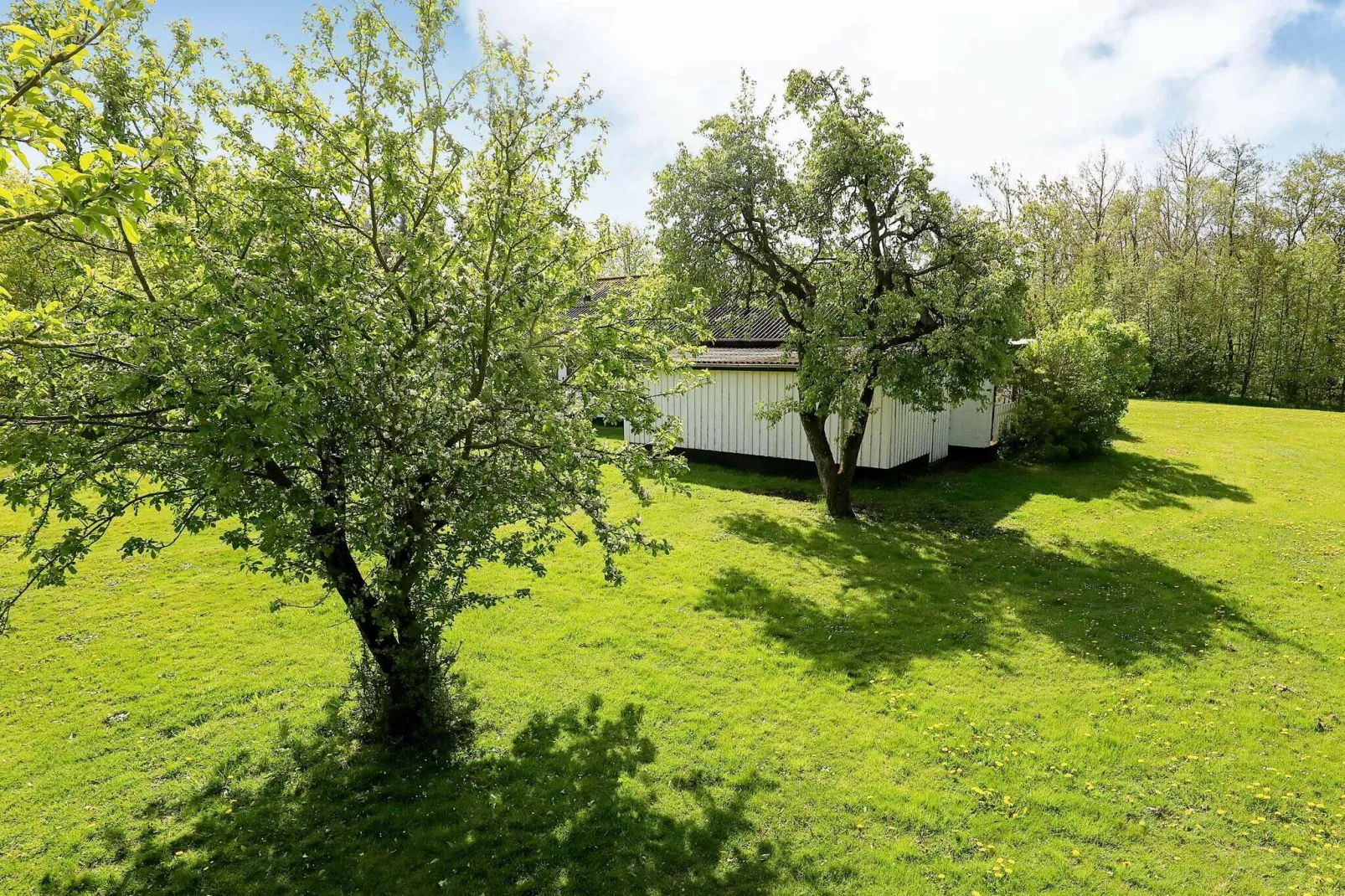 6 persoons vakantie huis in Spøttrup-By Traum-Uitzicht