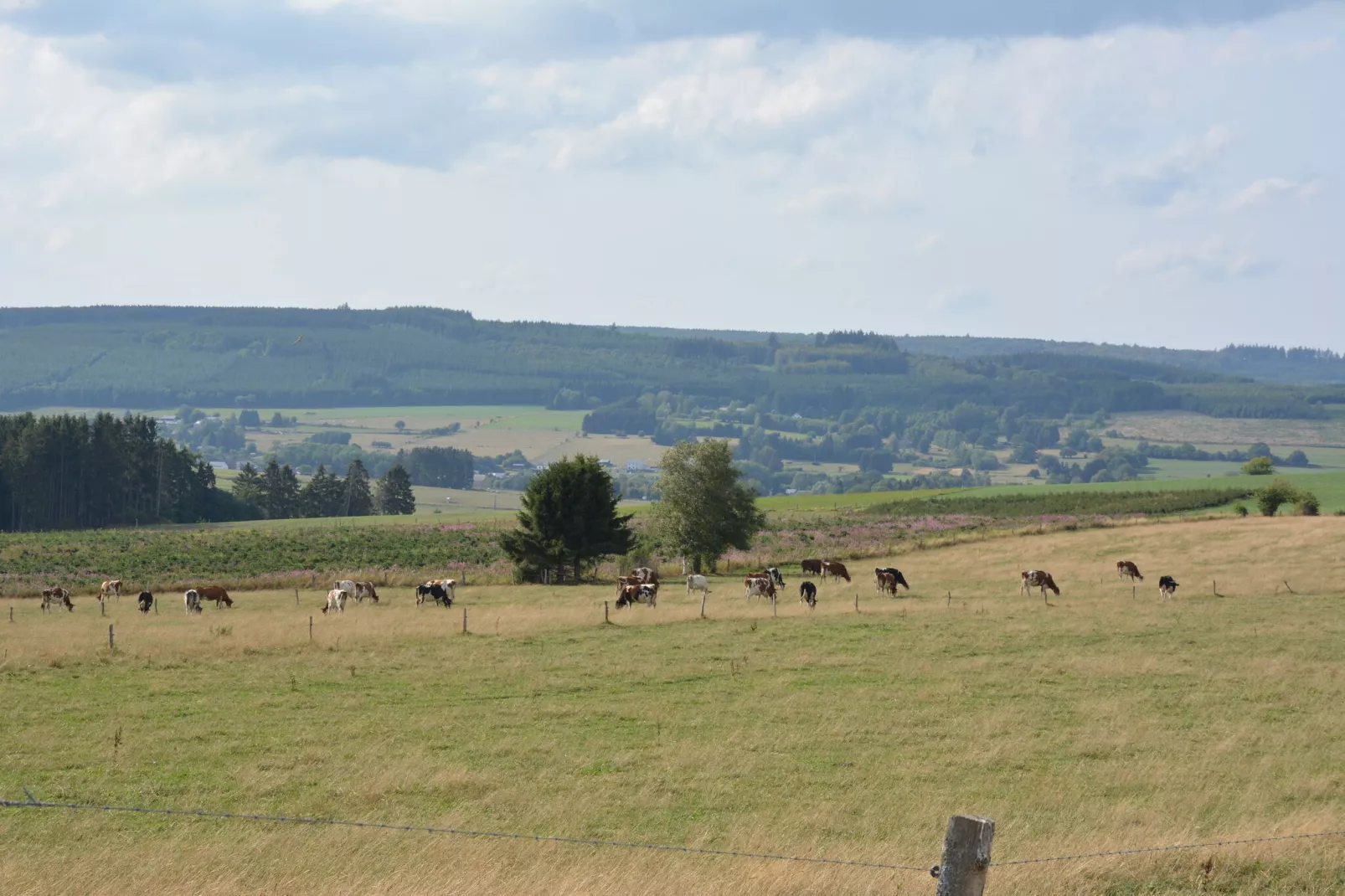 Le Barrage-Gebieden zomer 20km