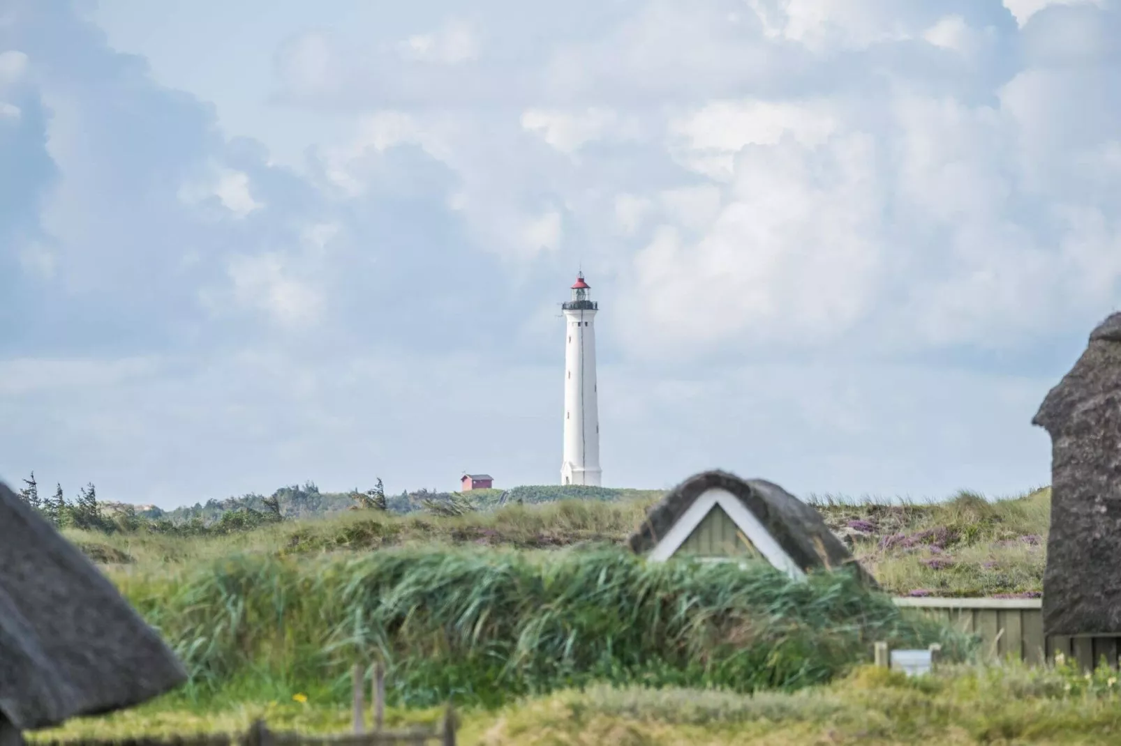 5 persoons vakantie huis op een vakantie park in Hvide Sande-Uitzicht