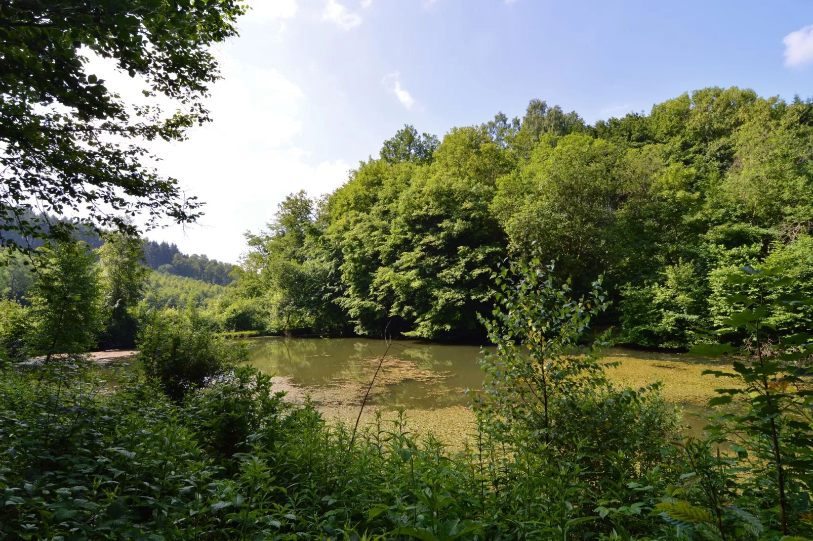 Le Martin Pêcheur-Gebieden zomer 1km