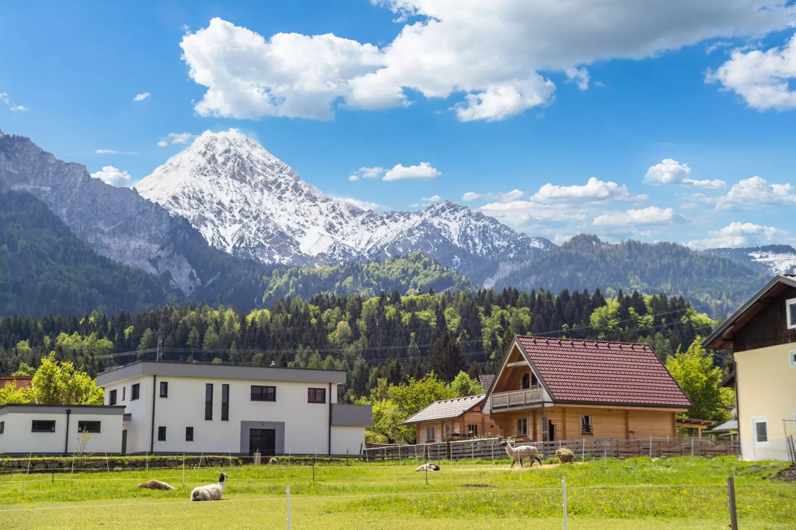 Chalet am Faakersee-Buitenkant zomer