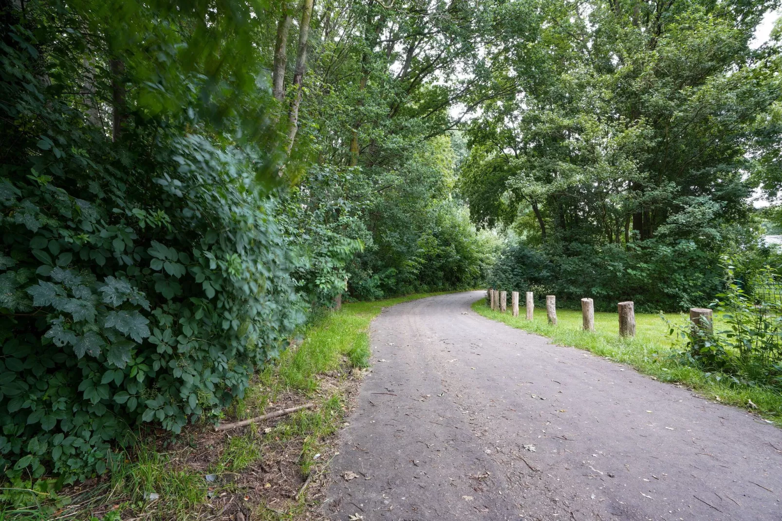 Vakantiewoning De Linge-Gebieden zomer 1km