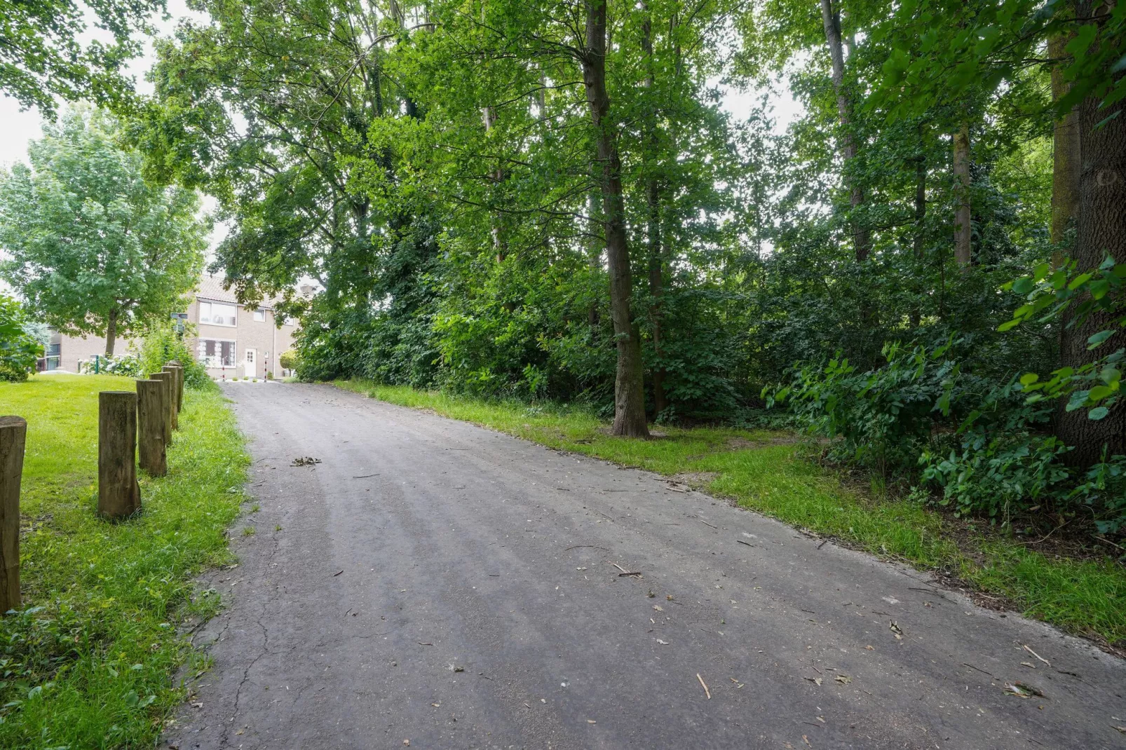 Vakantiewoning De Linge-Gebieden zomer 1km