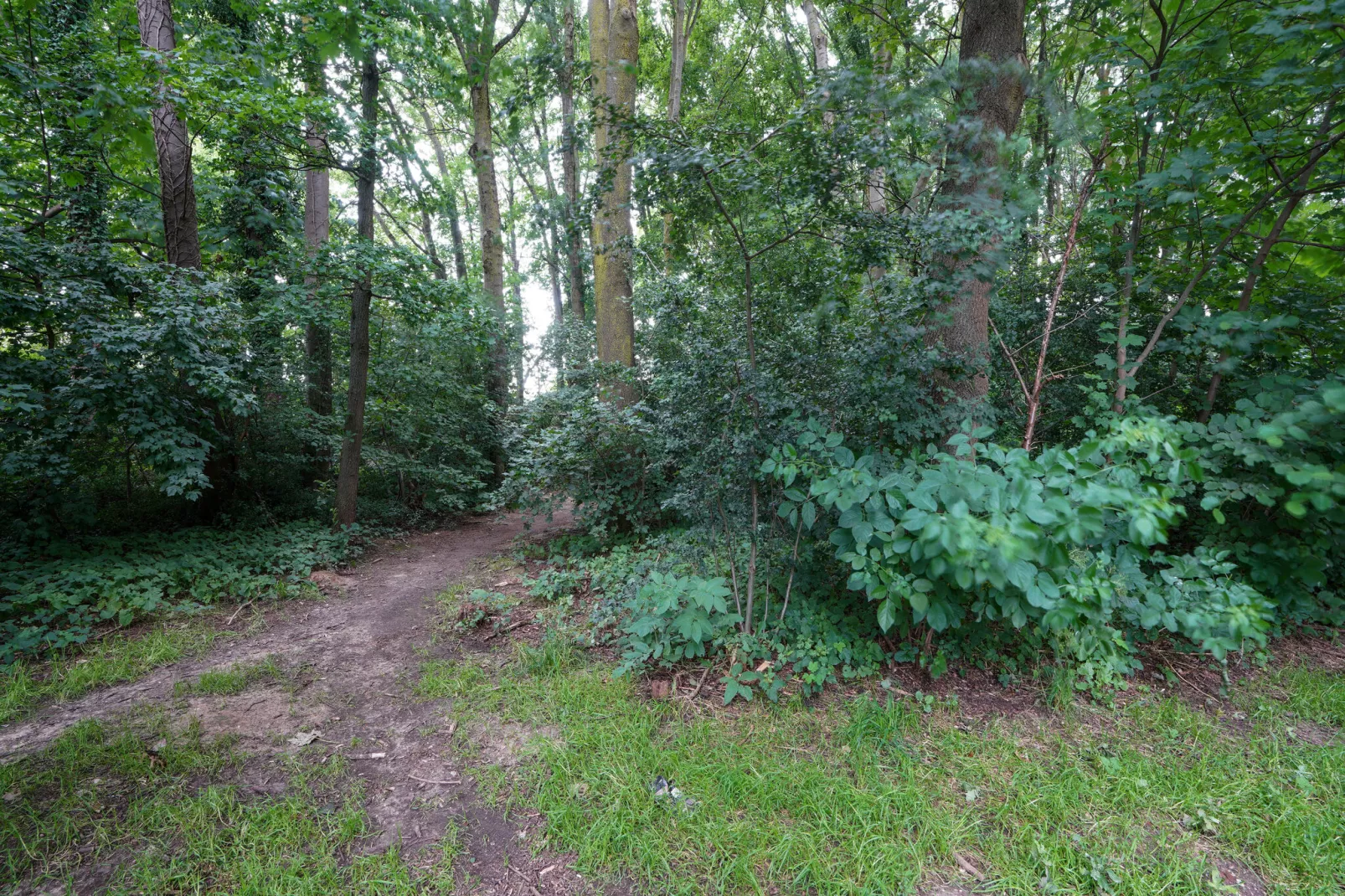 Vakantiewoning De Linge-Gebieden zomer 1km