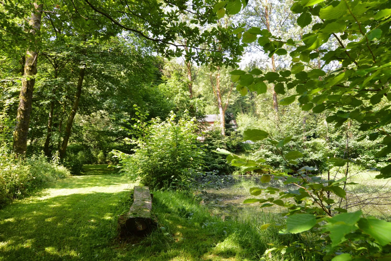 La Buresse-Gebieden zomer 1km