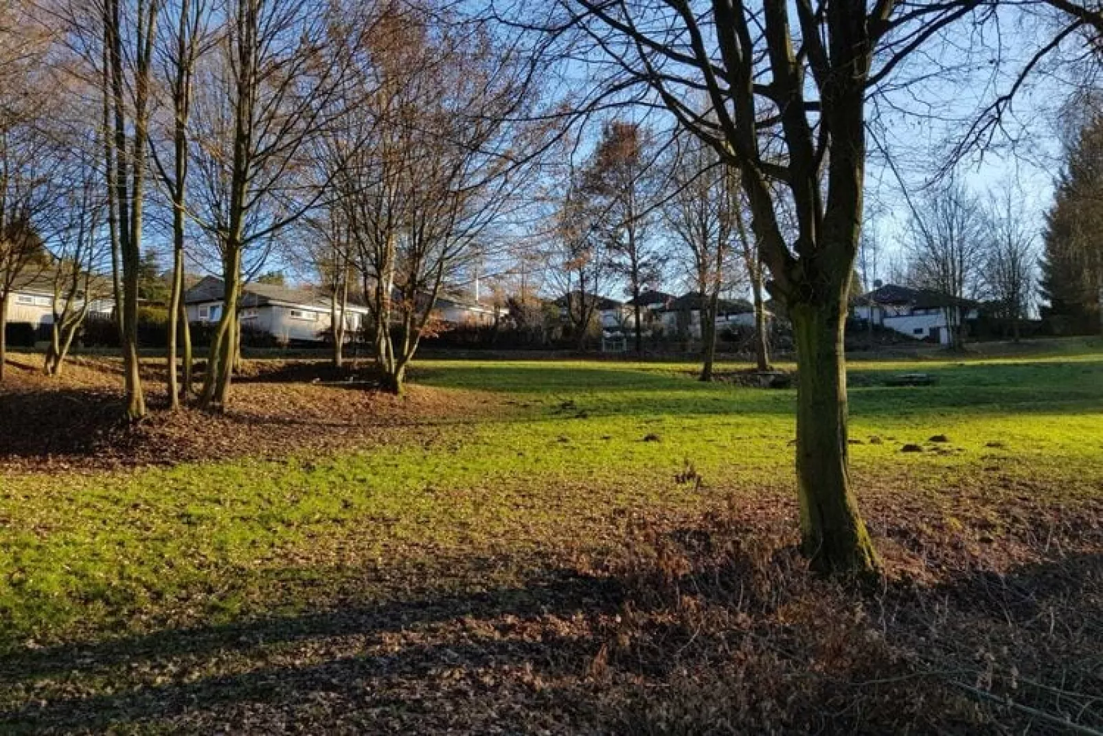 Vakantiehuis aan het Hennermeer met terras-Gebieden zomer 1km