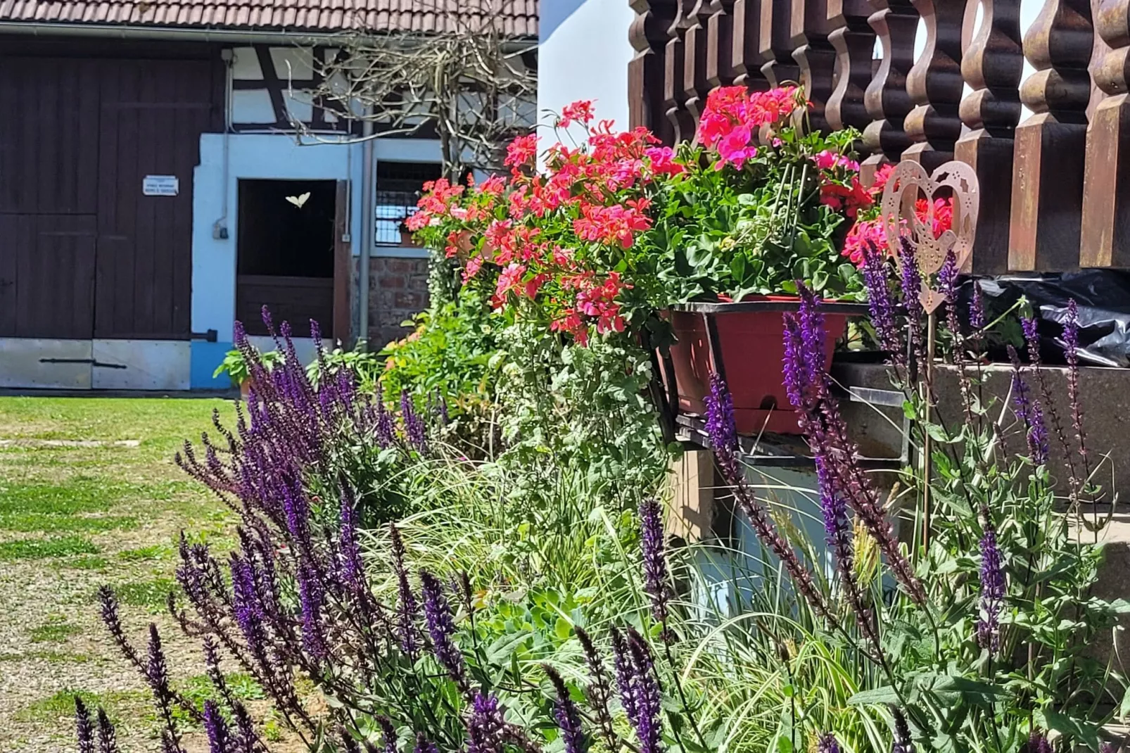 Maison de vacances - SCHLEITHAL-Buitenkant zomer