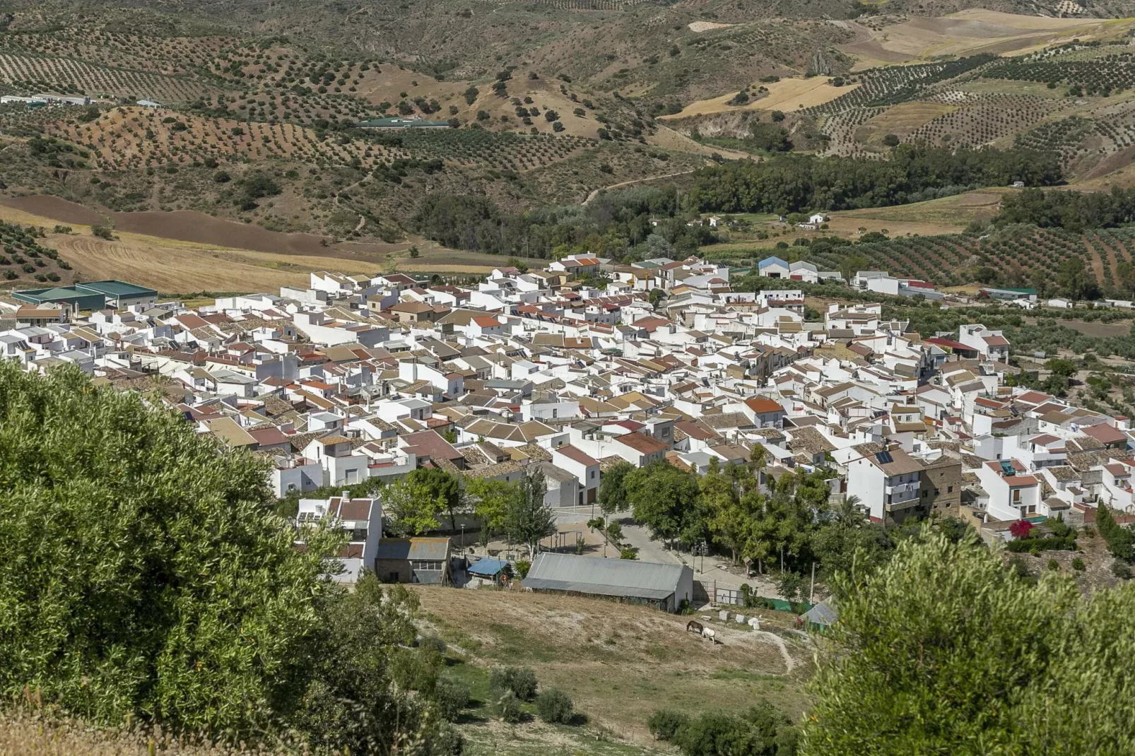 CASA DE PUEBLO ANDALUZA SIERRA SEVILLA-Gebieden zomer 5km