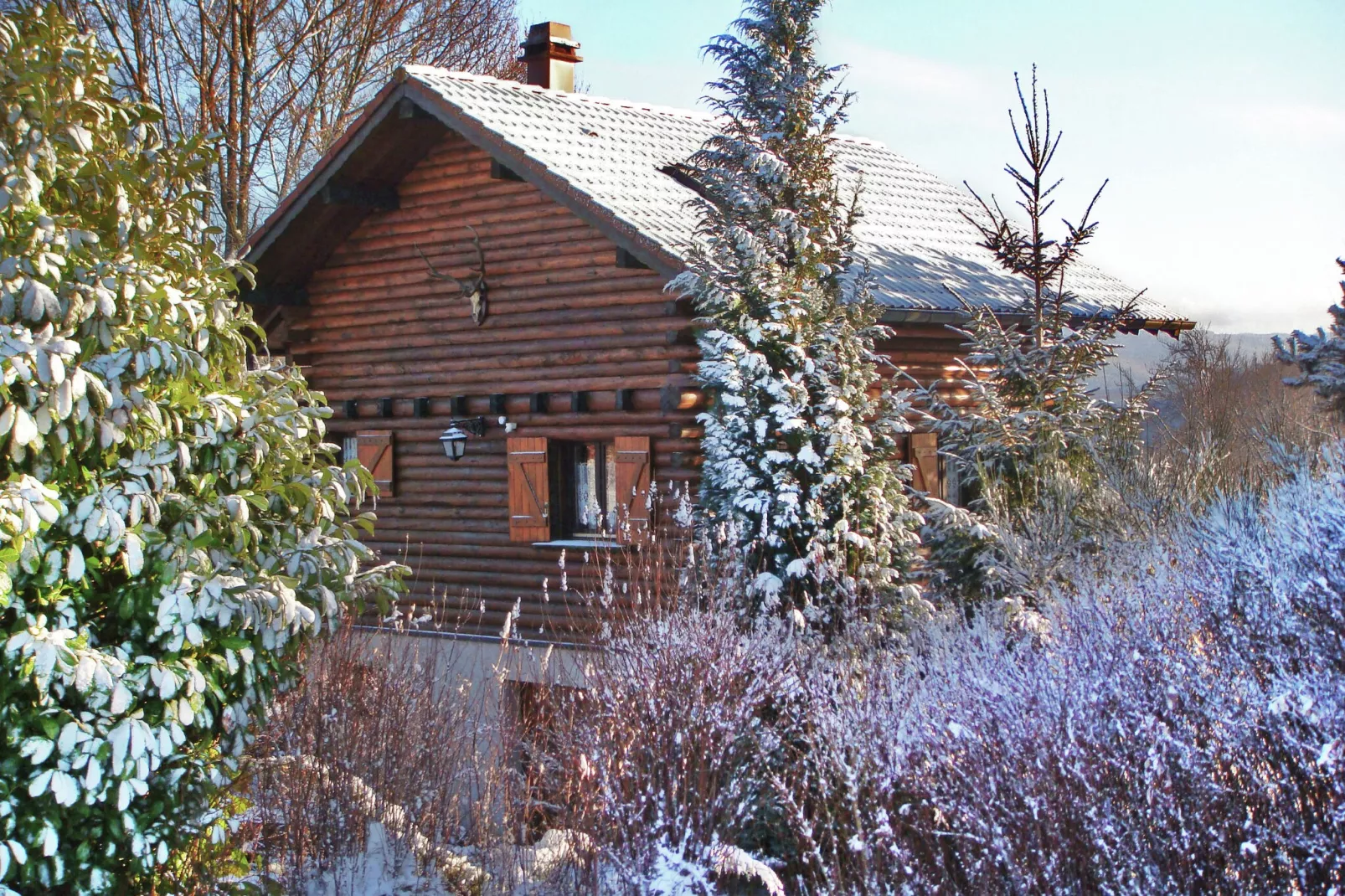 Chalet - HOMMERT-Exterieur winter