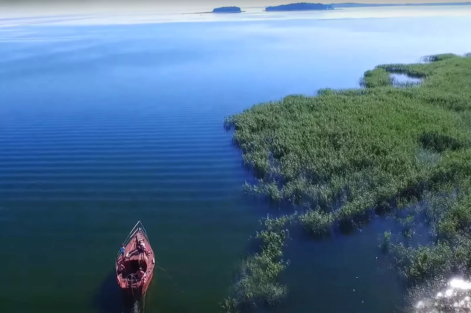 Masurian habitat-Gebieden zomer 5km