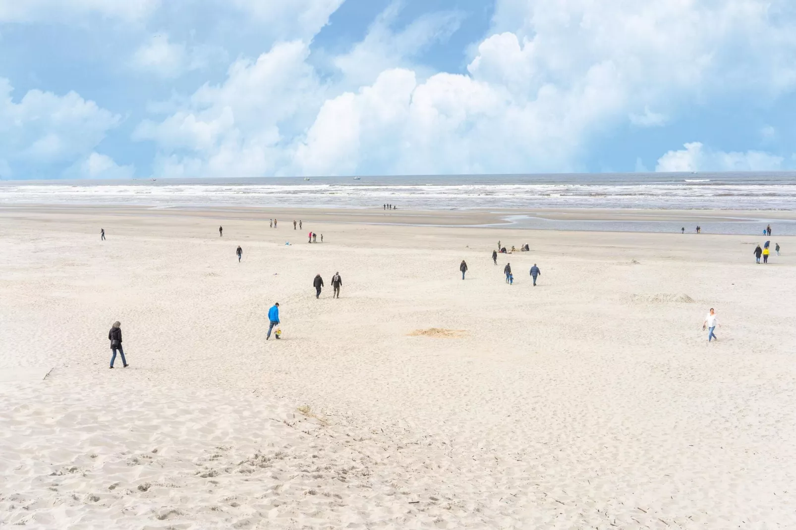 Combi Molensduin en Grauweduin-Gebieden zomer 5km