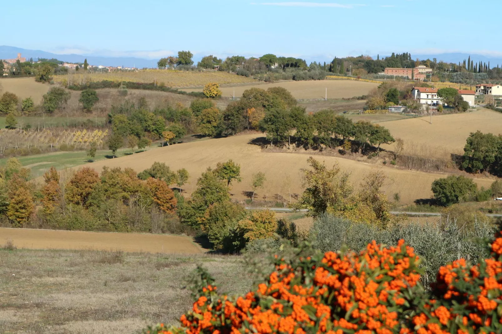 Castagno del Riccio-Gebieden zomer 1km