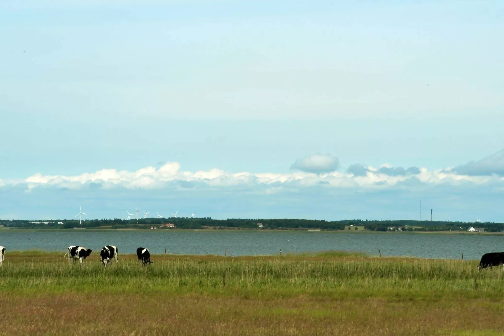 8 persoons vakantie huis in Blåvand-Waterzicht