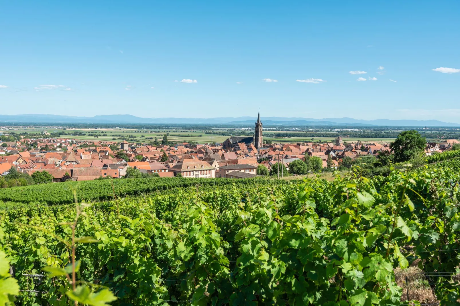 Grand Gite North-Gebieden zomer 5km