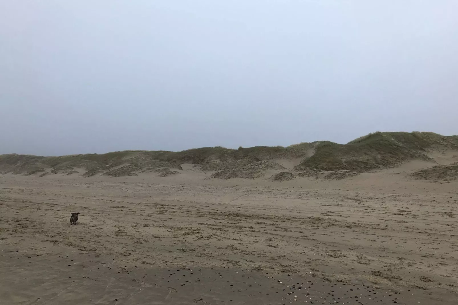 Uit en Thuis aan Zee-Gebieden zomer 5km