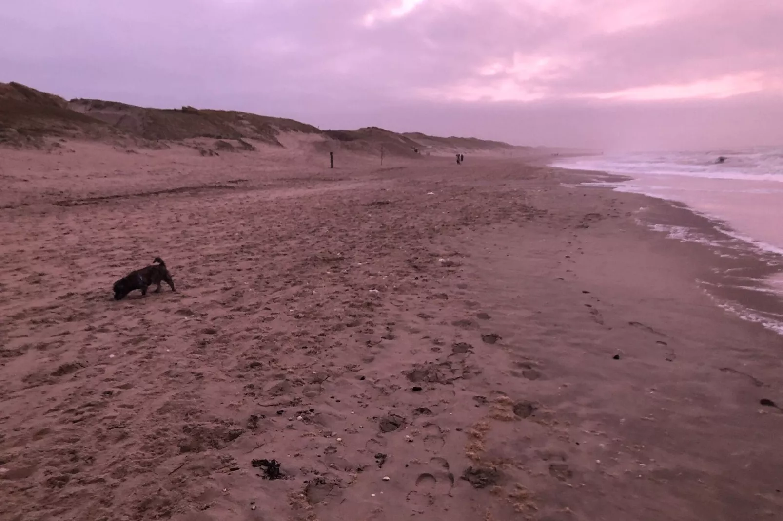 Uit en Thuis aan Zee-Gebieden zomer 5km