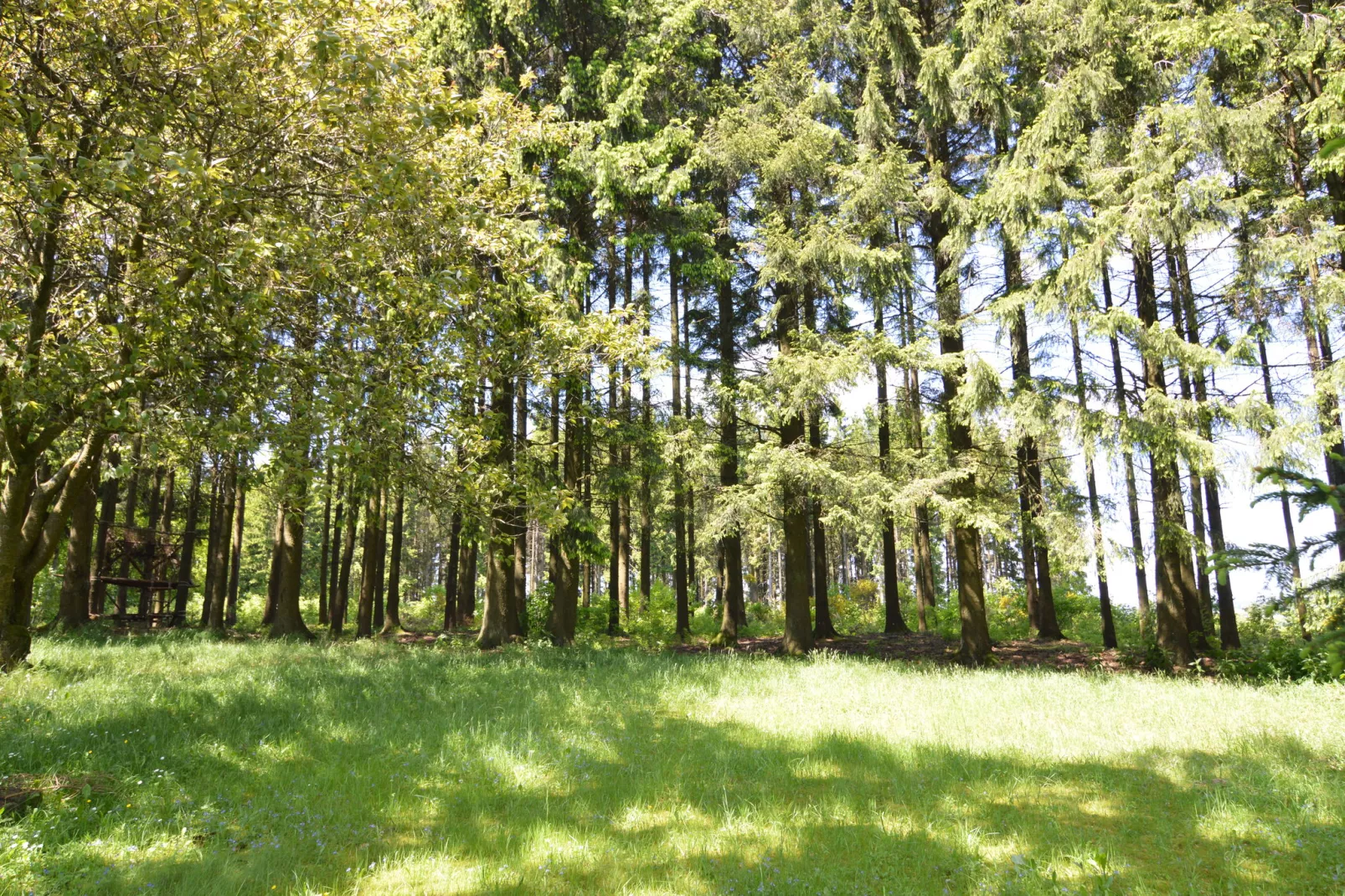 Le Chevreuil-Gebieden zomer 1km