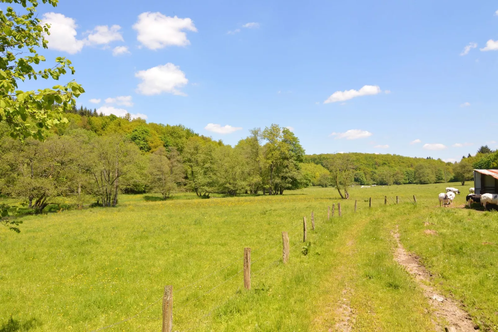 Le Chevreuil-Gebieden zomer 5km