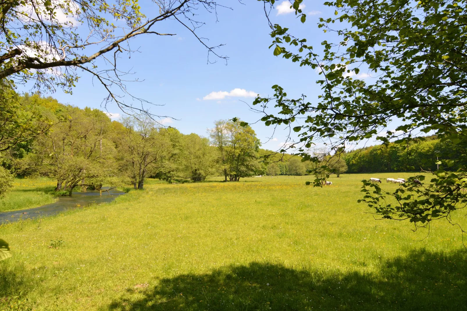 Le Chevreuil-Gebieden zomer 5km