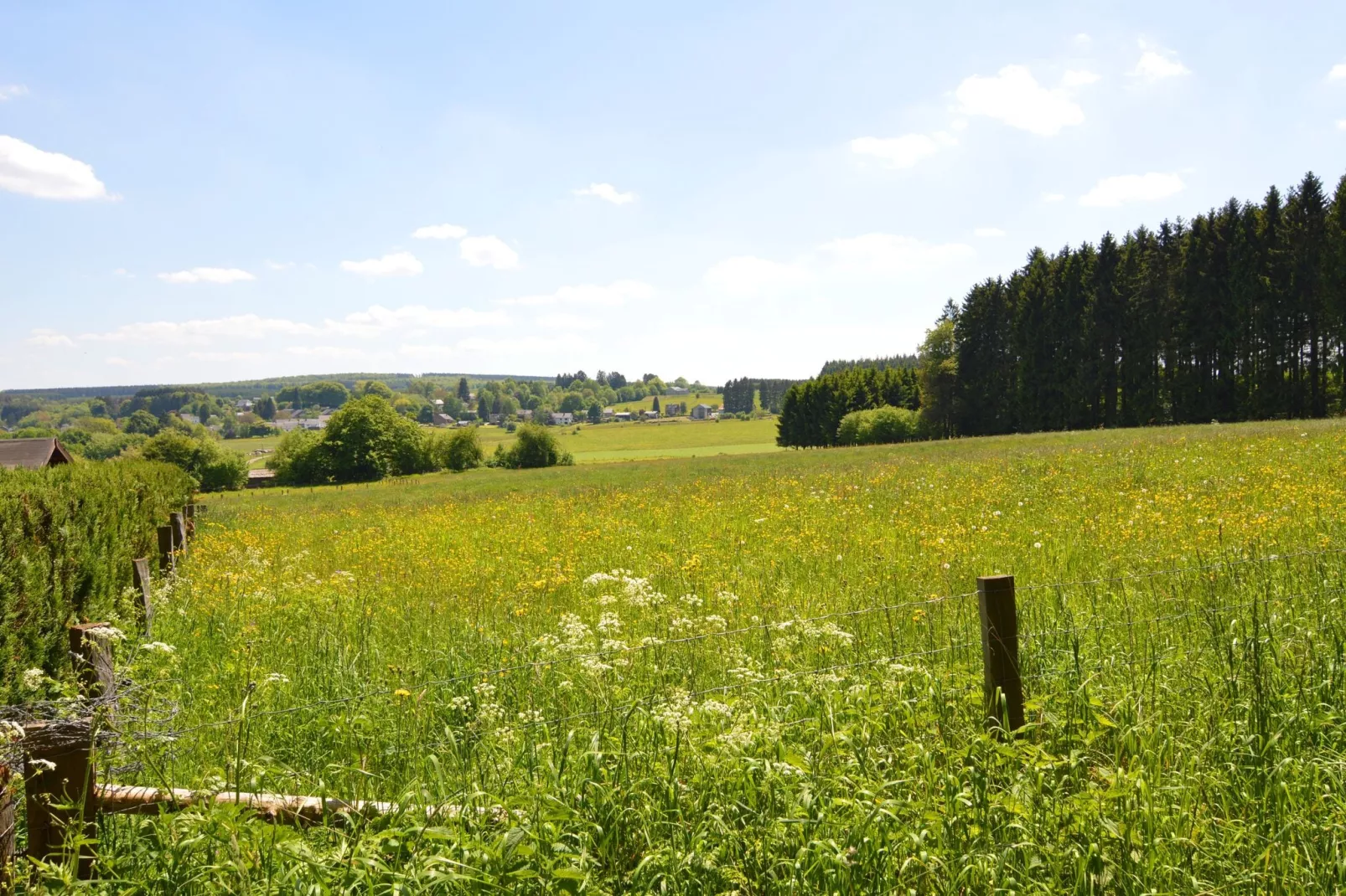 Le Chevreuil-Uitzicht zomer