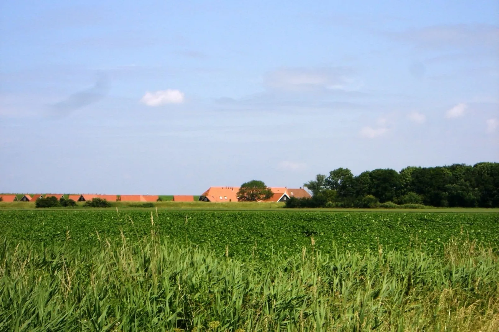 Recreatiepark de Stelhoeve 2-Buitenkant zomer