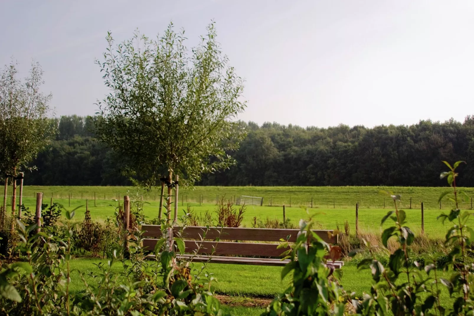 Recreatiepark de Stelhoeve 2-Gebieden zomer 1km