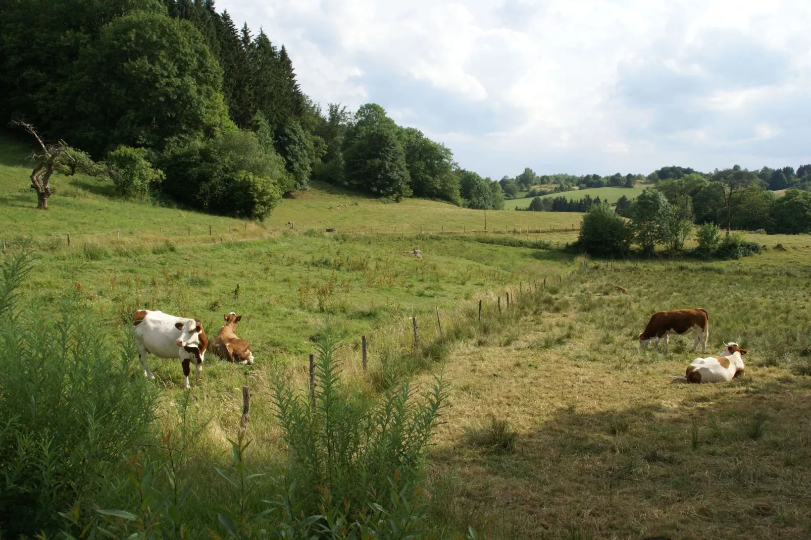 Maison de vacances - ESMOULIÈRES-Tuinen zomer