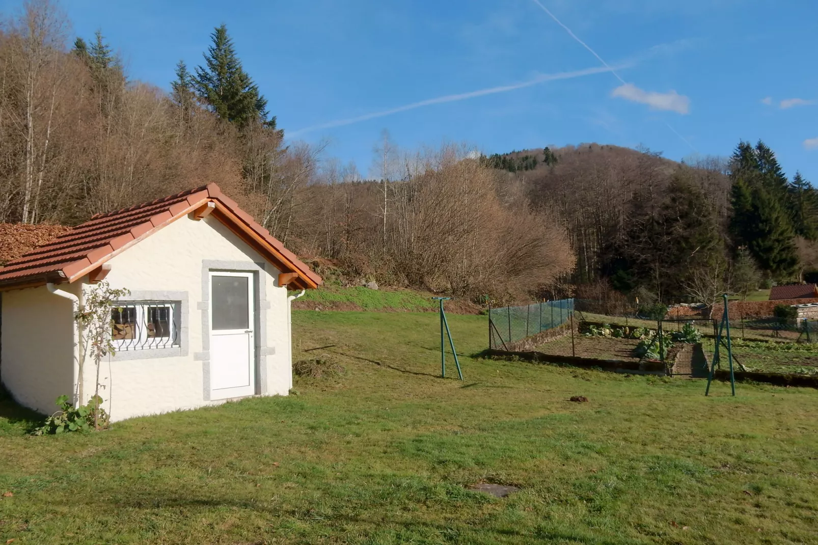 Maison de vacances - LE HAUT-DU-THEM-Tuin winter