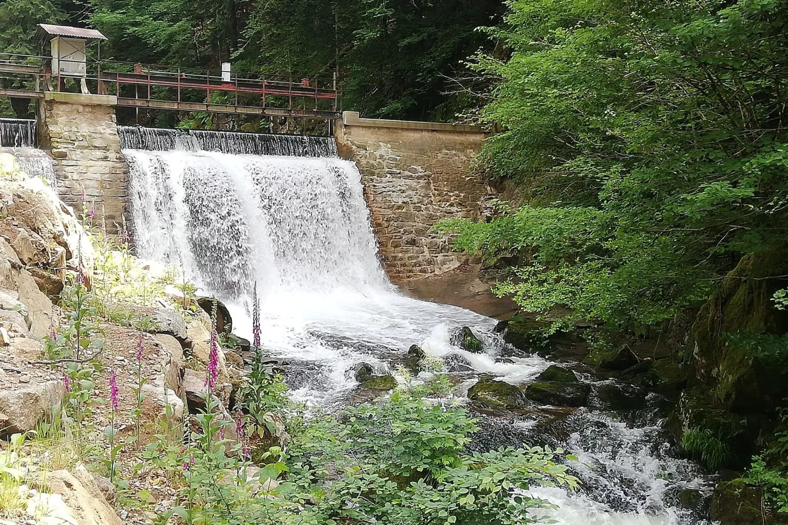 Maison de vacances - LE HAUT-DU-THEM-Gebieden zomer 5km