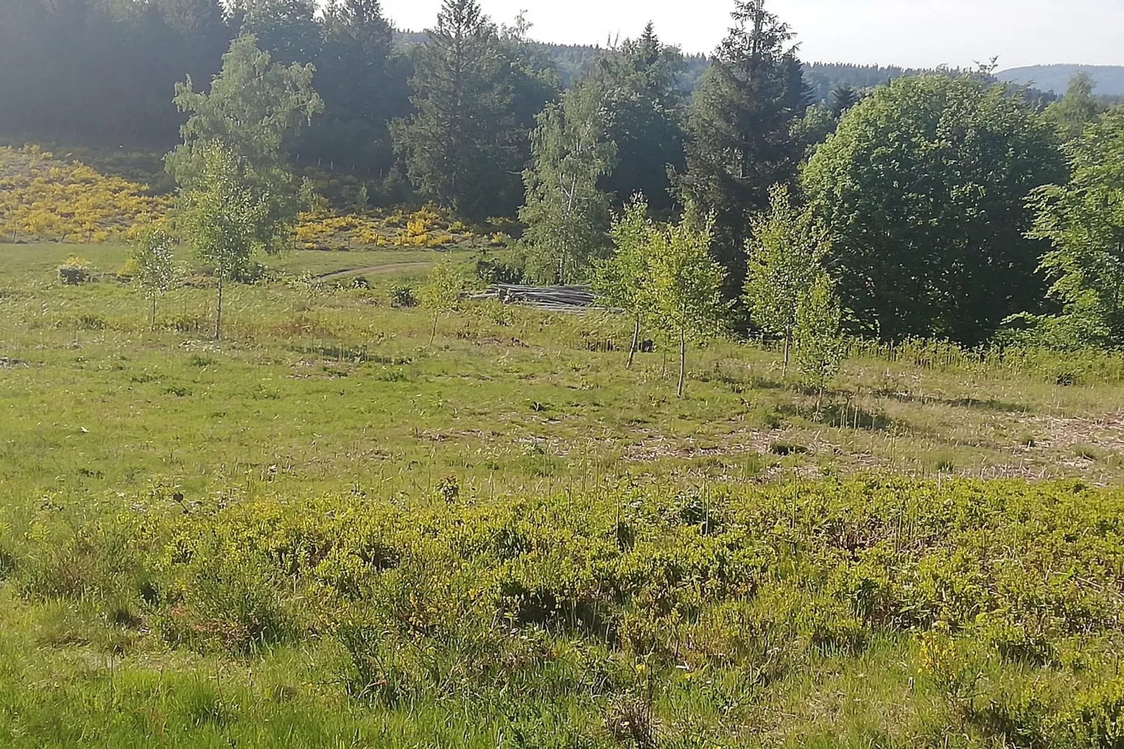 Maison de vacances - LE HAUT-DU-THEM-Gebieden zomer 5km