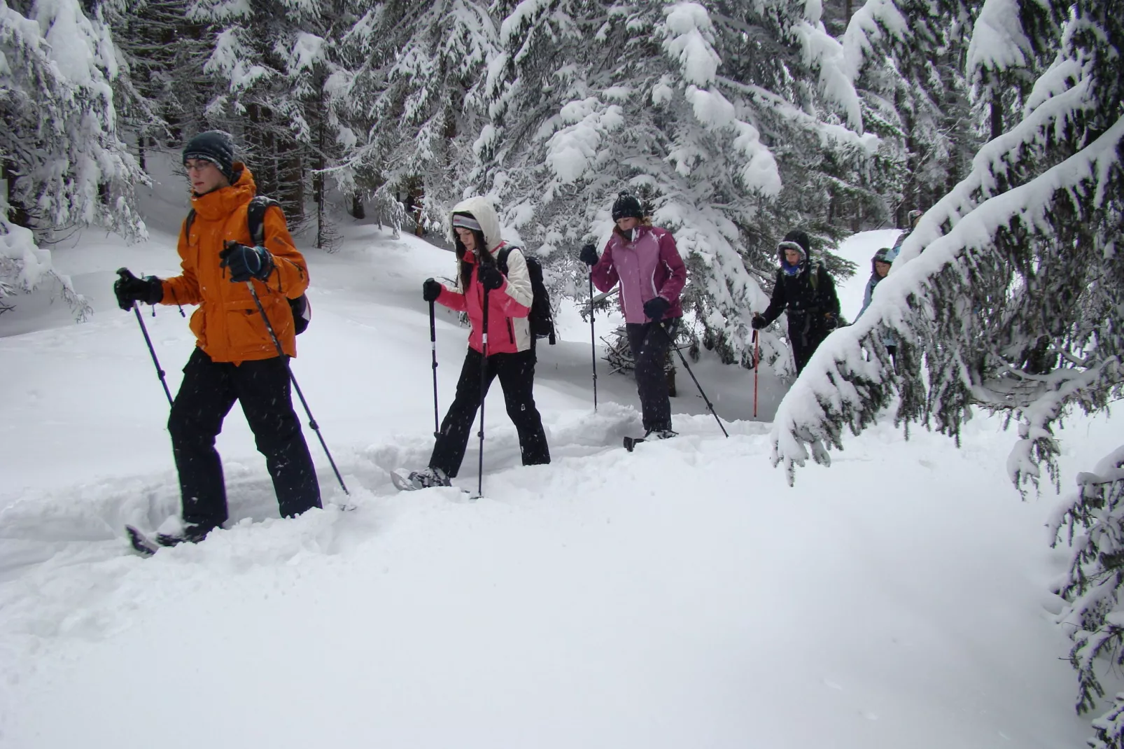Erzberg Alpin Resort  9-Gebied winter 5km