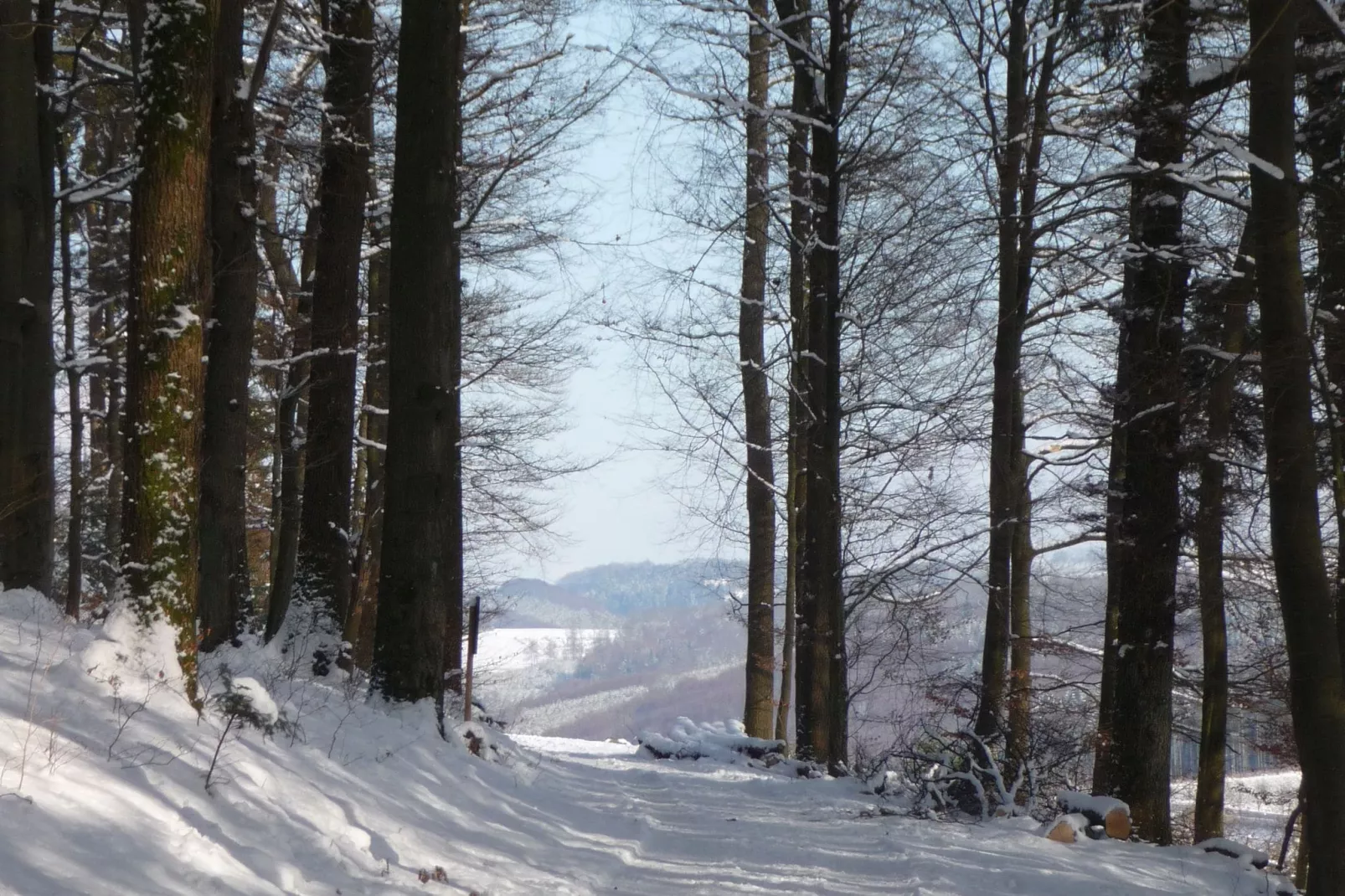 Eslohe-Gebied winter 5km