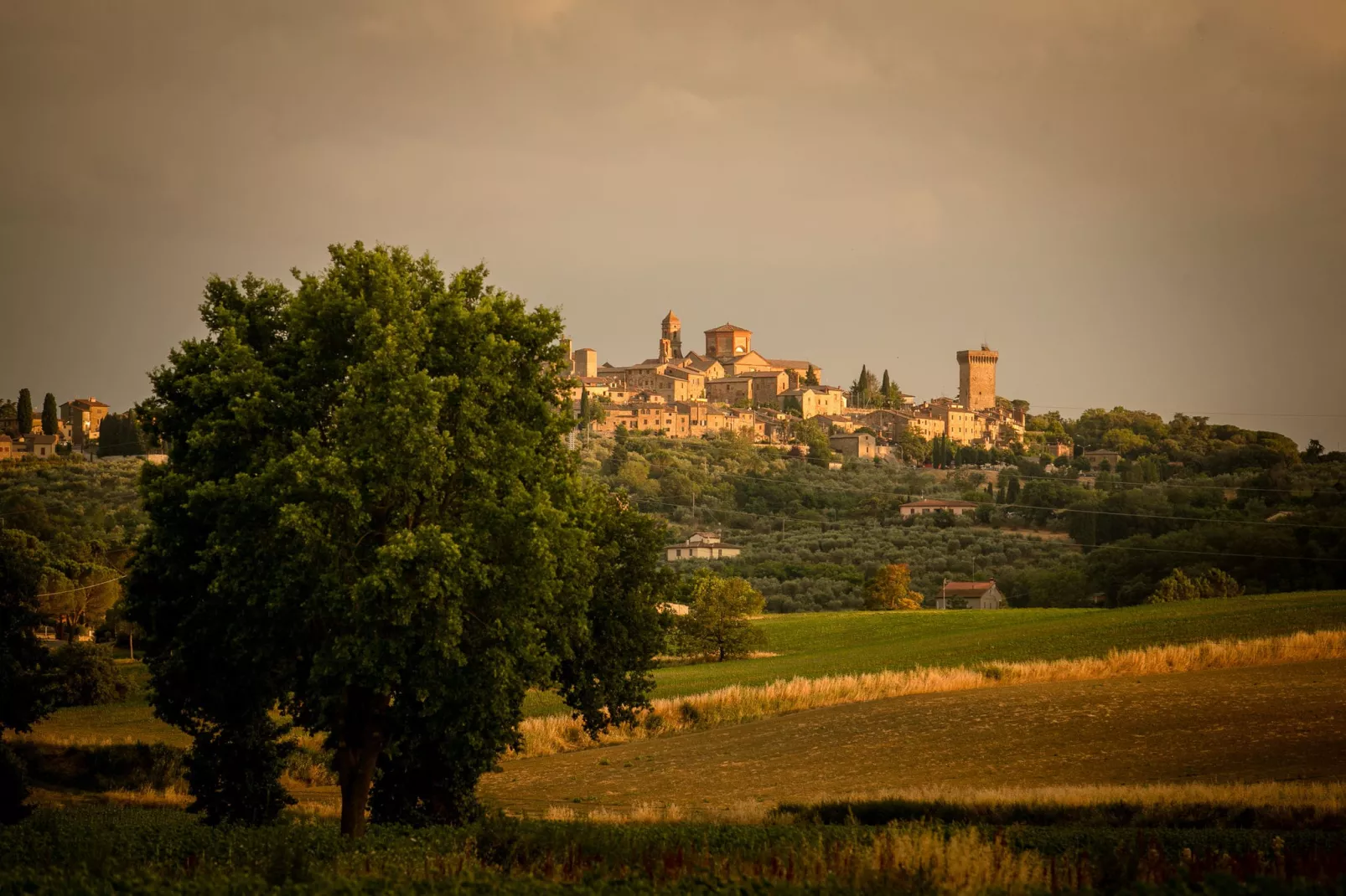 Villa Ancano-Gebieden zomer 1km