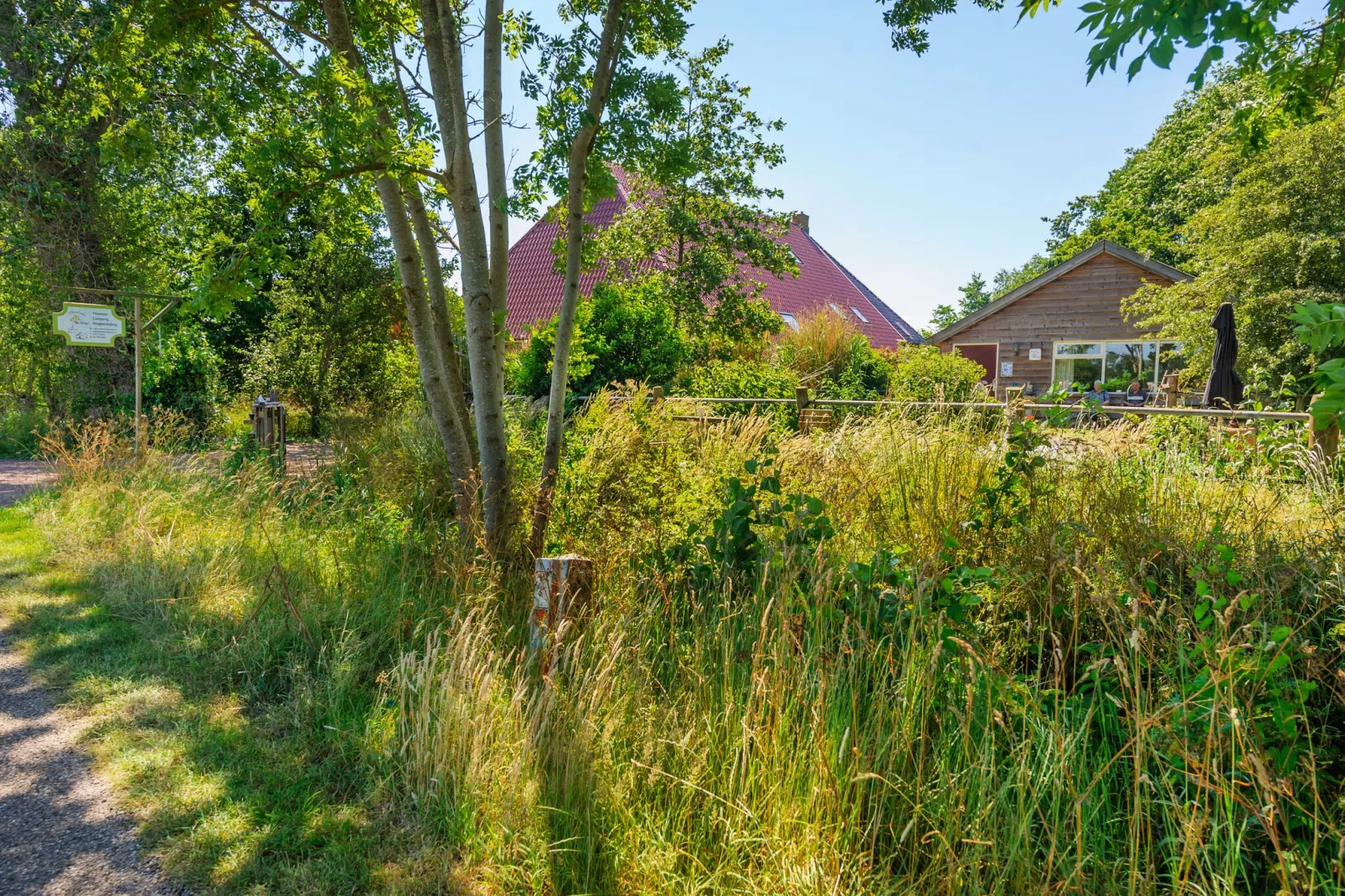 De Welp-Gebieden zomer 1km