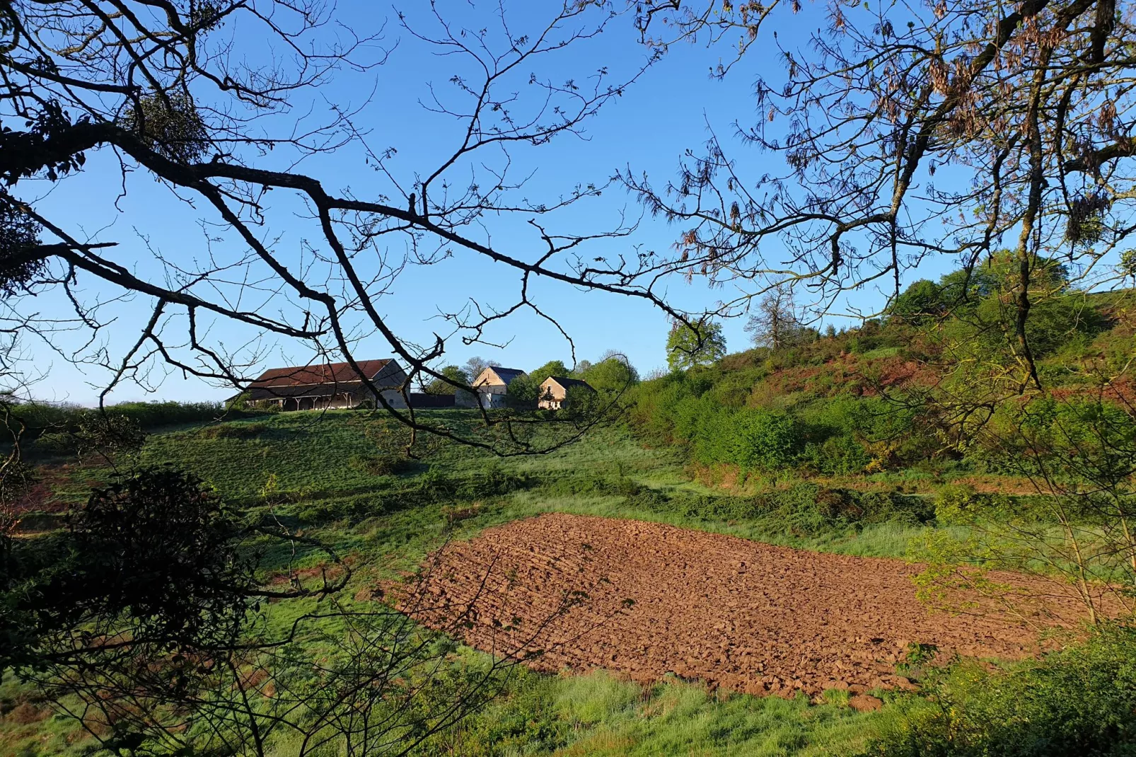 Gite Bourgogne rust & natuur-Gebieden zomer 1km