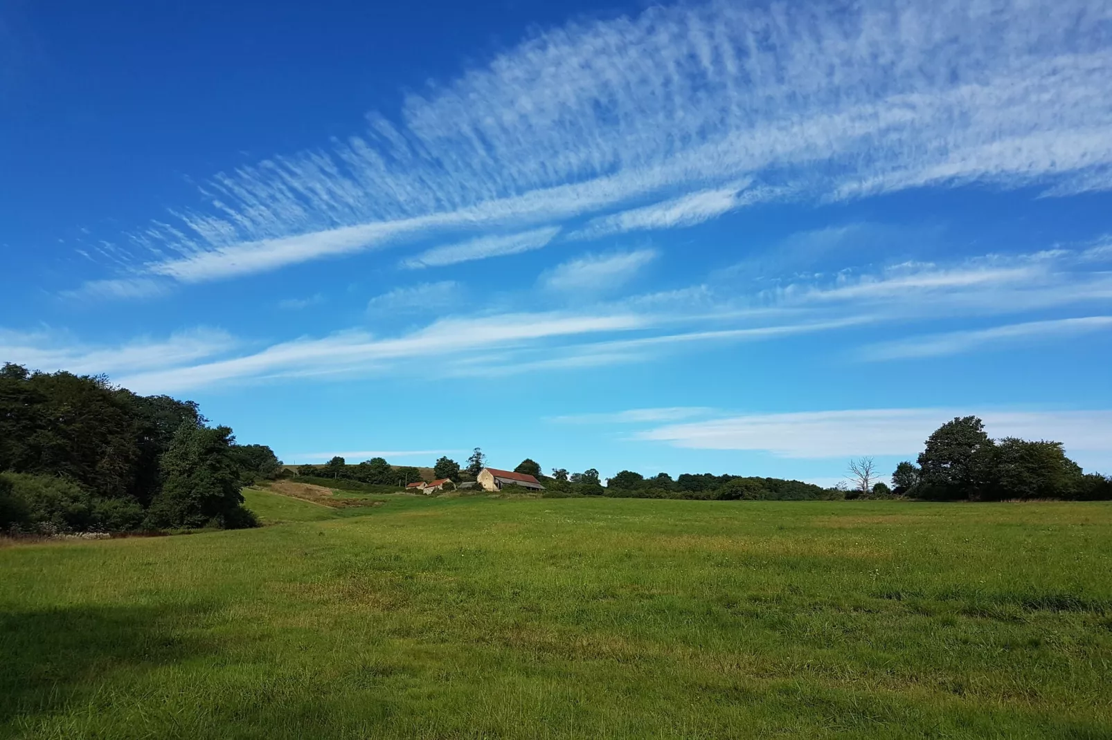 Gite Bourgogne rust & natuur-Gebieden zomer 1km