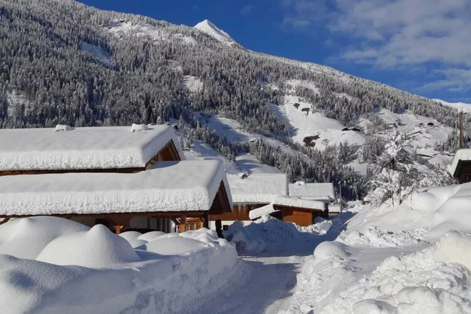 Chalet Murmel-Exterieur winter