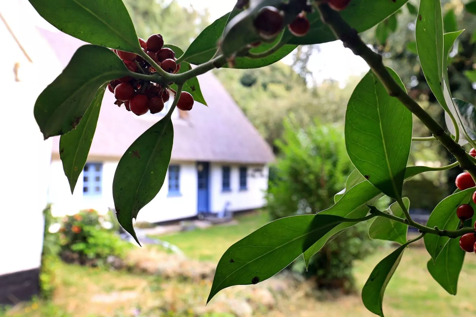 6 persoons vakantie huis in Søby Ærø-Uitzicht